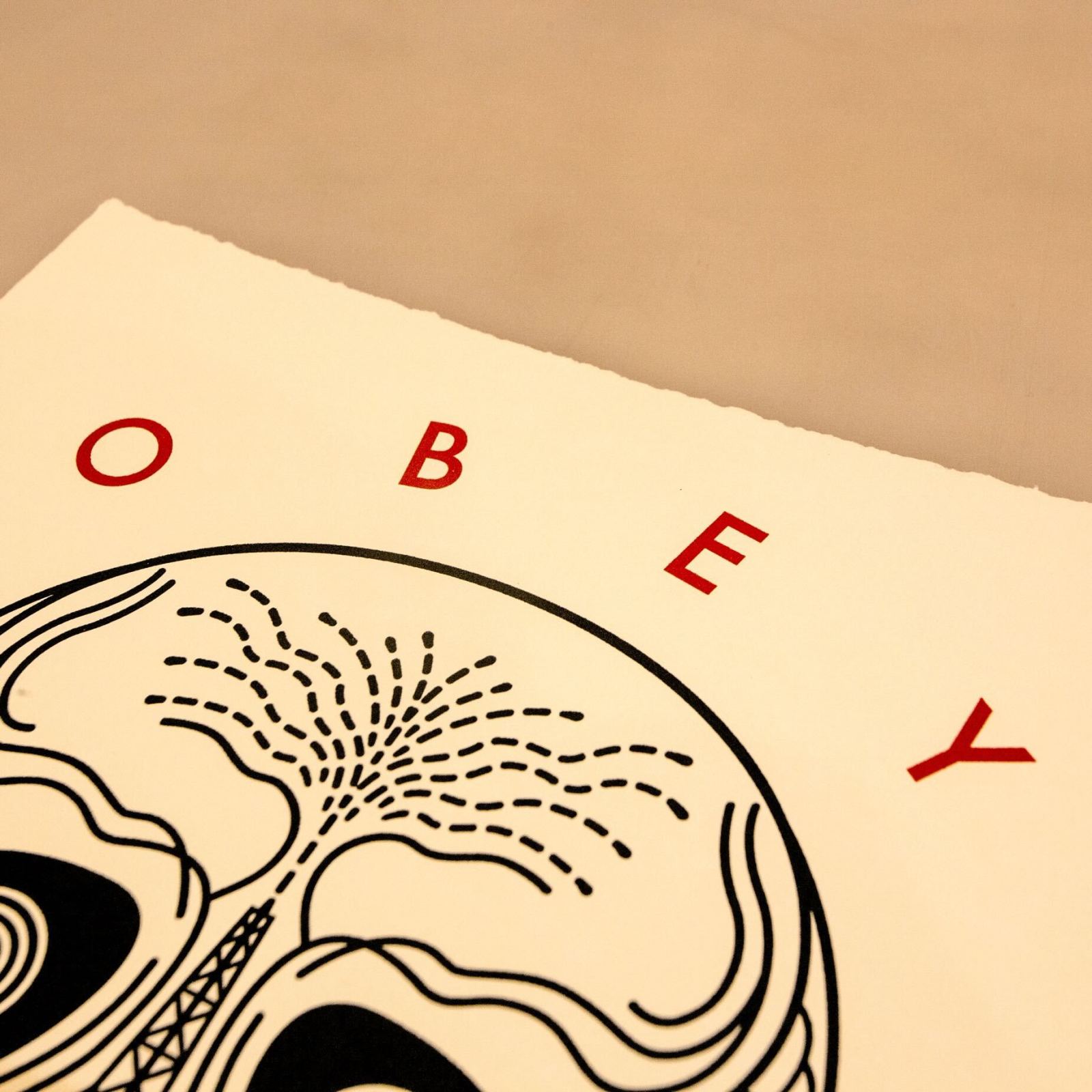 Close-up of OBEY print featuring a stylized skull graphic.
