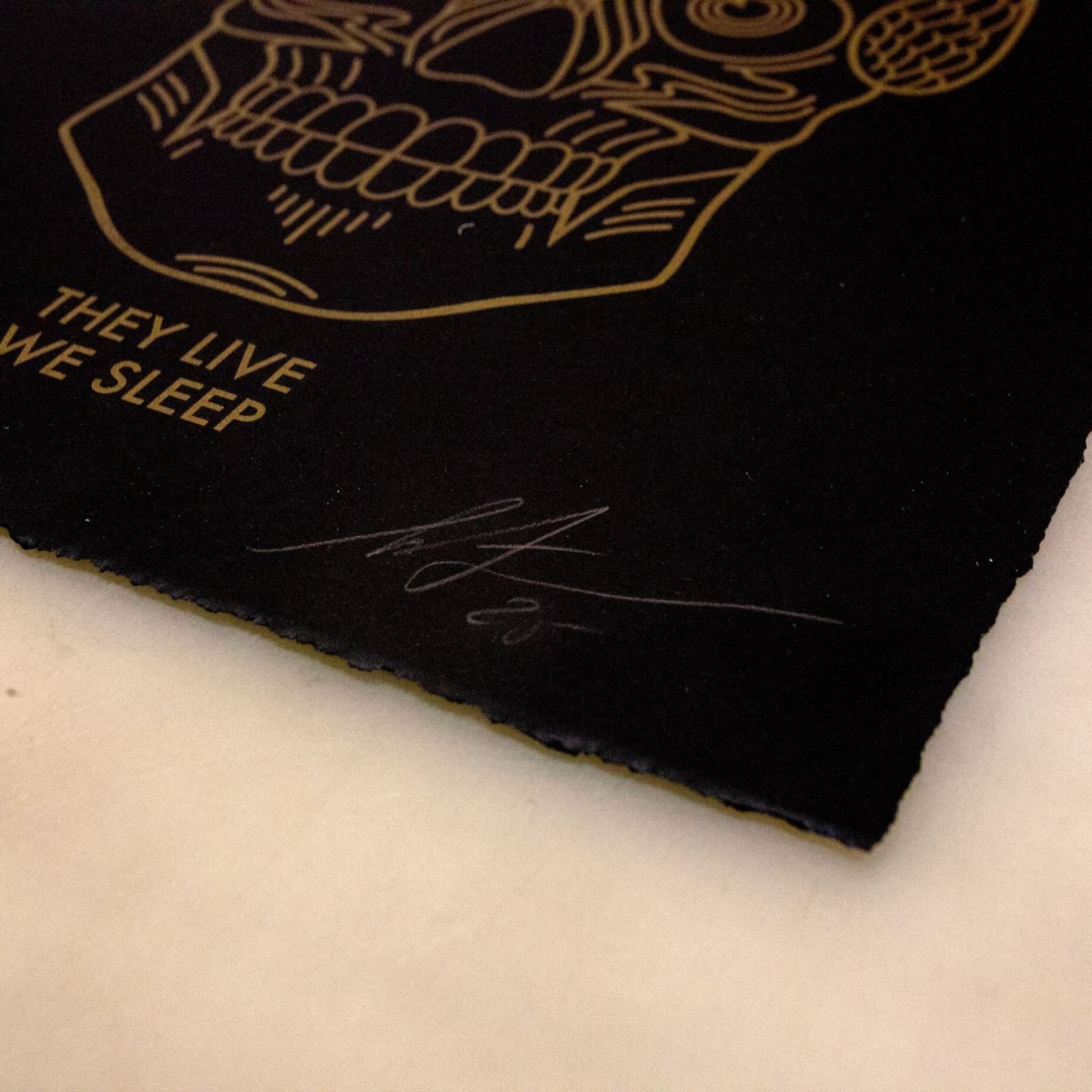 Gold skull print on black paper; They Live We Sleep text; artist signature.