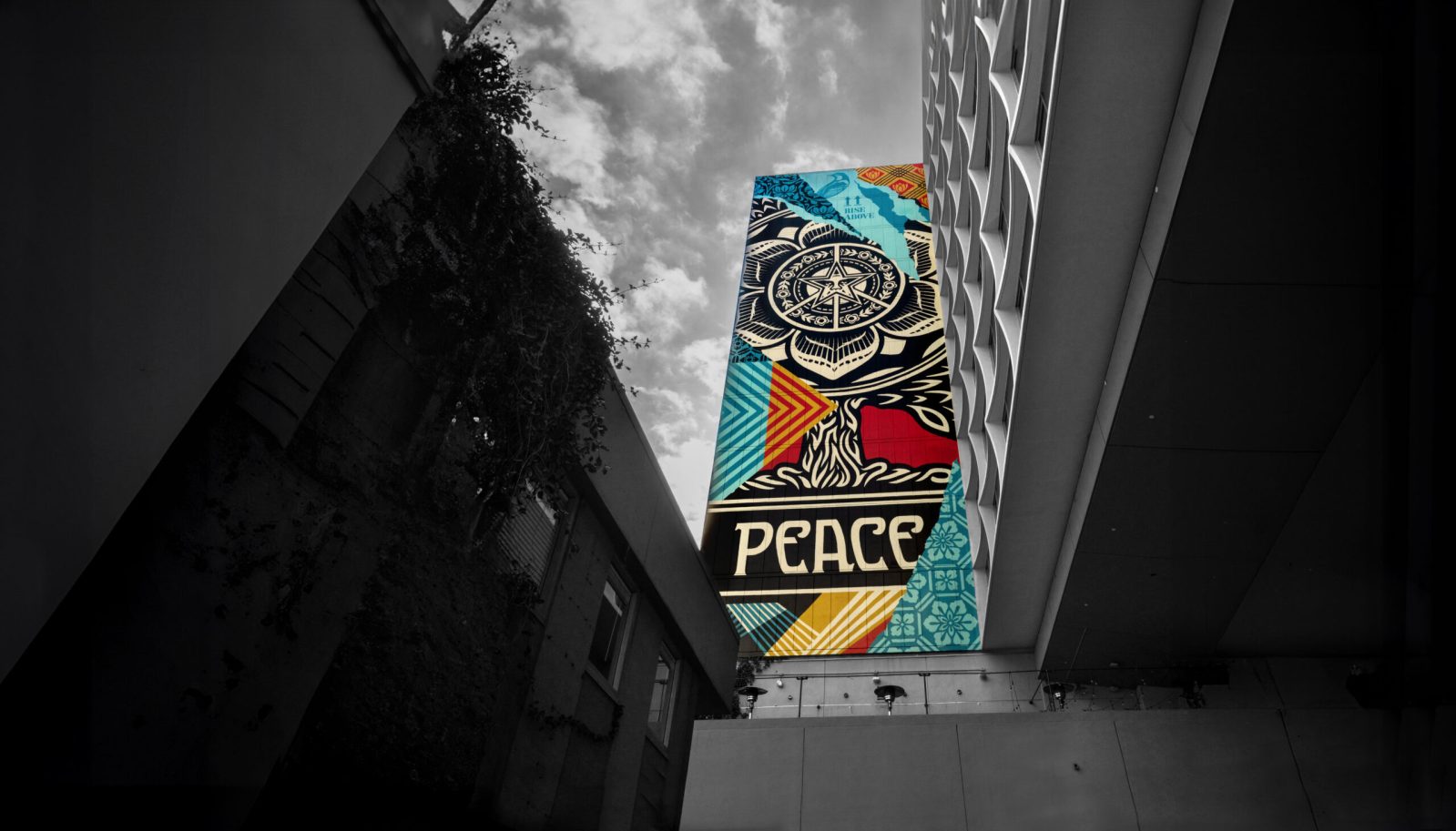 A mural on a building with a black and white background. The mural is colorful and says PEACE.