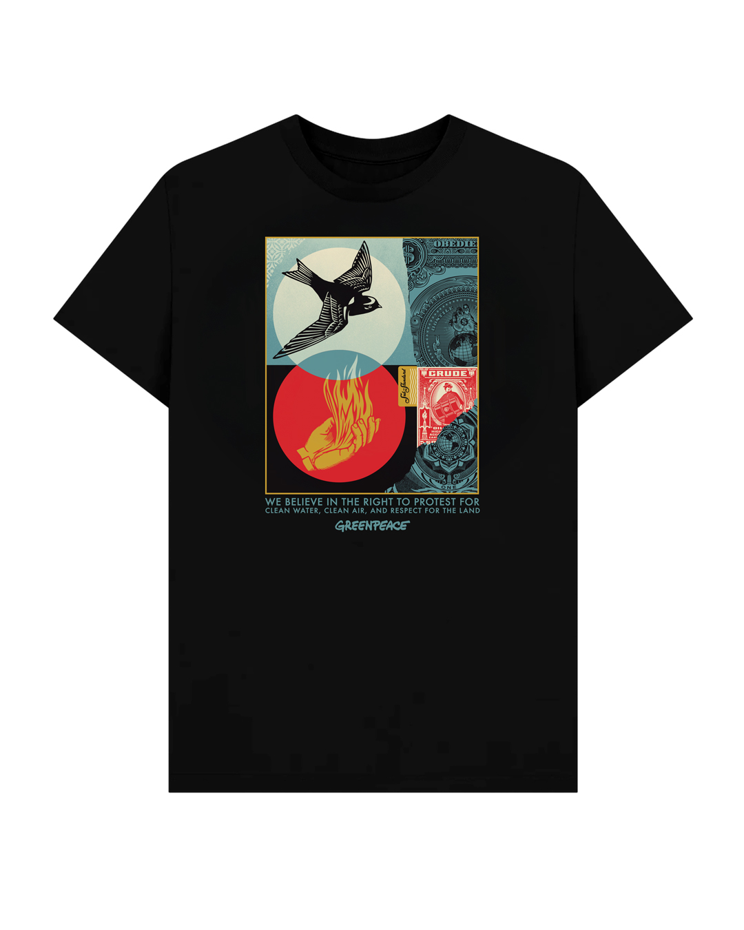 A black t-shirt featuring a graphic design with a bird, a hand holding fire, and text: WE BELIEVE IN THE RIGHT TO PROTEST…